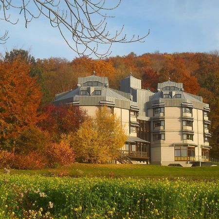 Hellmut-Wassmer-Jugendherberge Loerrach Exteriér fotografie